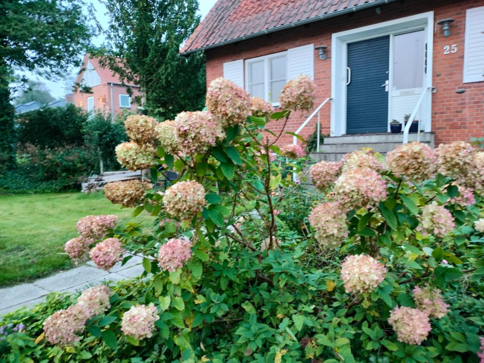 Porshojvej Hotel Skive Buitenkant foto